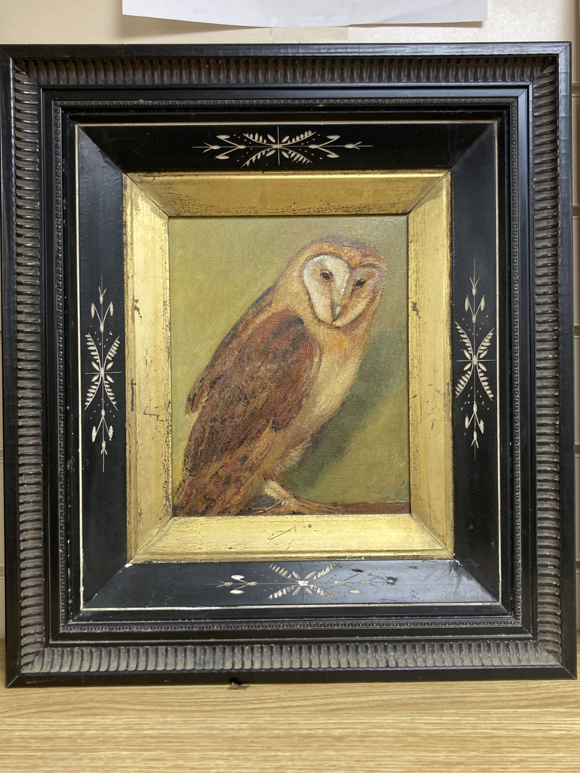 A modern oil on canvas study of a barn owl, housed in a late Victorian ebonised frame, 24 x 19cm